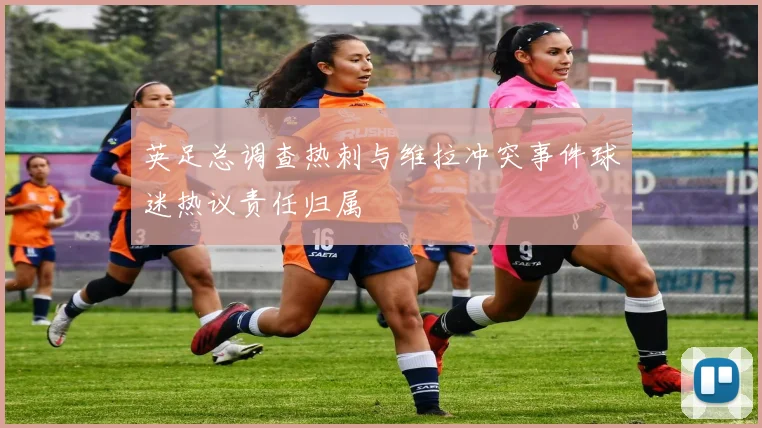 英足总调查热刺与维拉冲突事件球迷热议责任归属