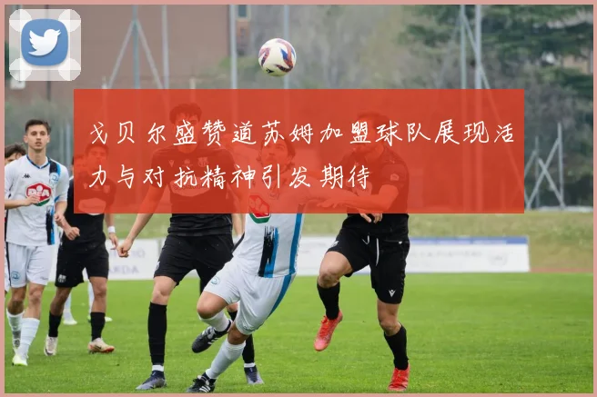 戈贝尔盛赞道苏姆加盟球队展现活力与对抗精神引发期待