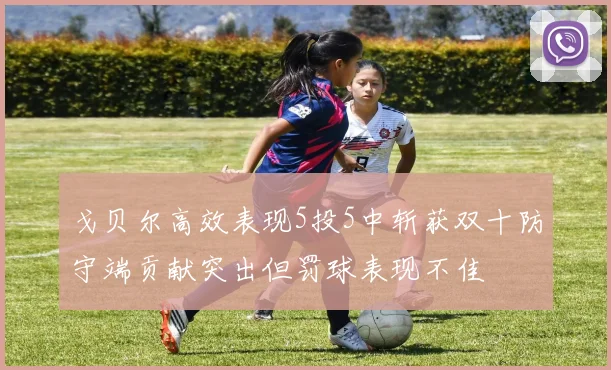 戈贝尔高效表现5投5中斩获双十防守端贡献突出但罚球表现不佳